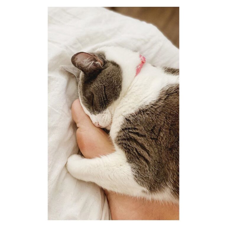 I DO need my foot back at some point… . . . .