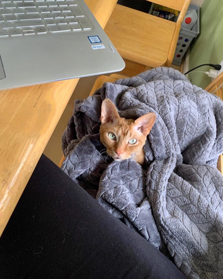 I’m mommy’s co-worker for the day! Don’t think she’ll mind if I just