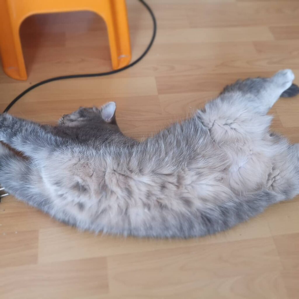 I’m thiiiiiiiiiss long . . . . . . . . . .