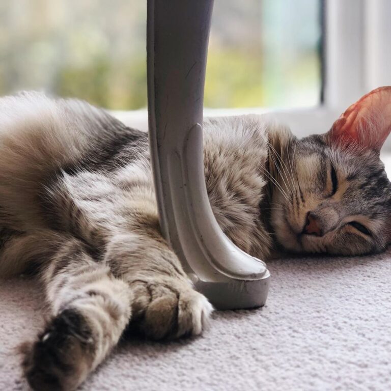 It has been a tough old day for Albus