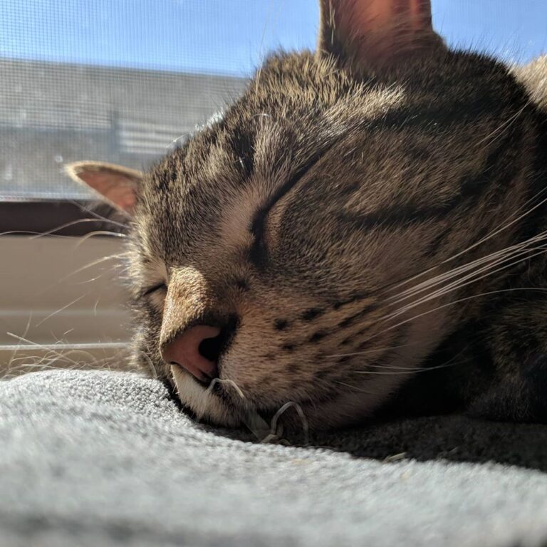It’s cloudy and cool today, so here’s a warm Layton on a sunny day .