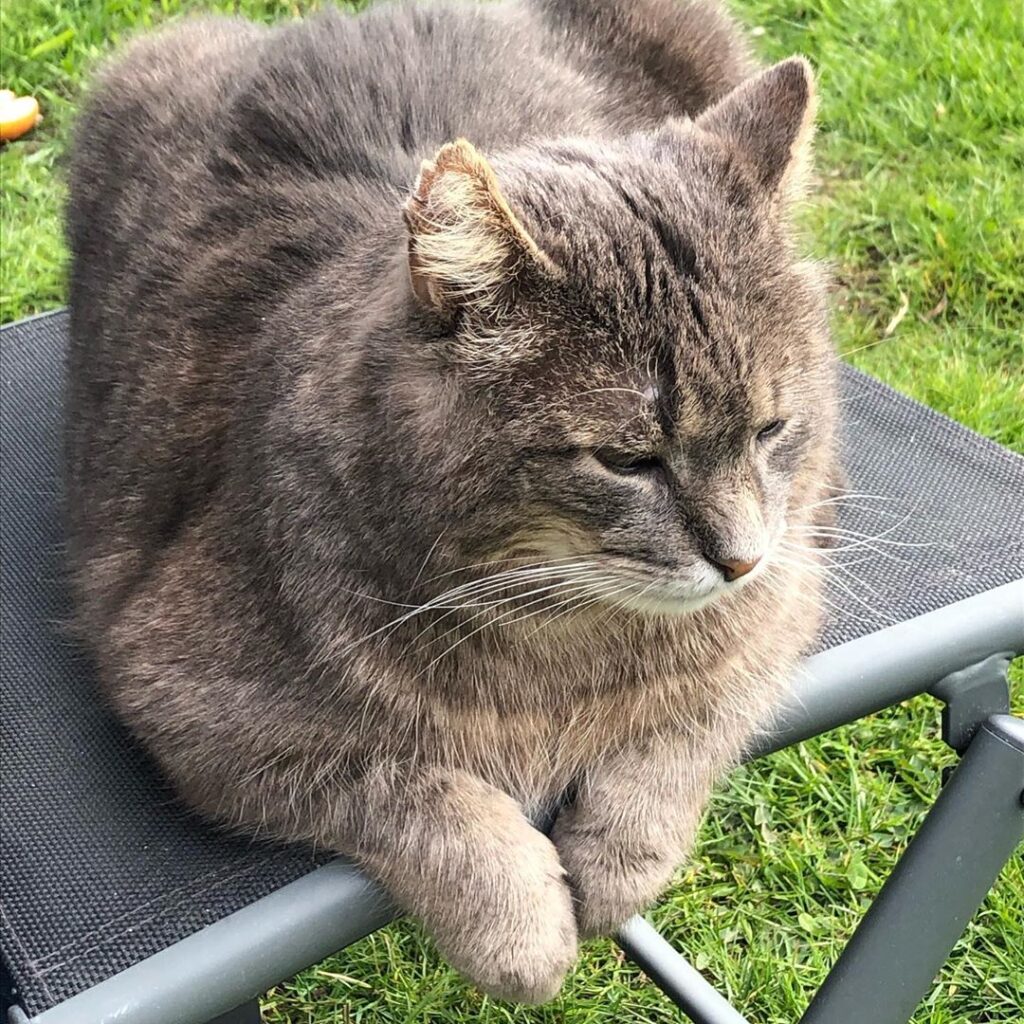 Karlchen beim relaxen
