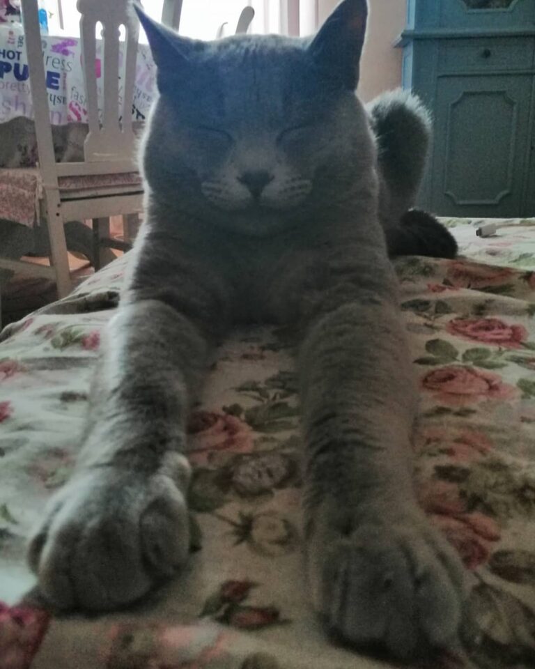 La Sfinge