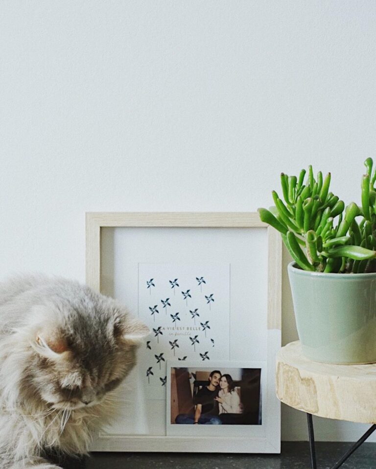 La vie est belle en famille même si je pense que Ginger en a marre de