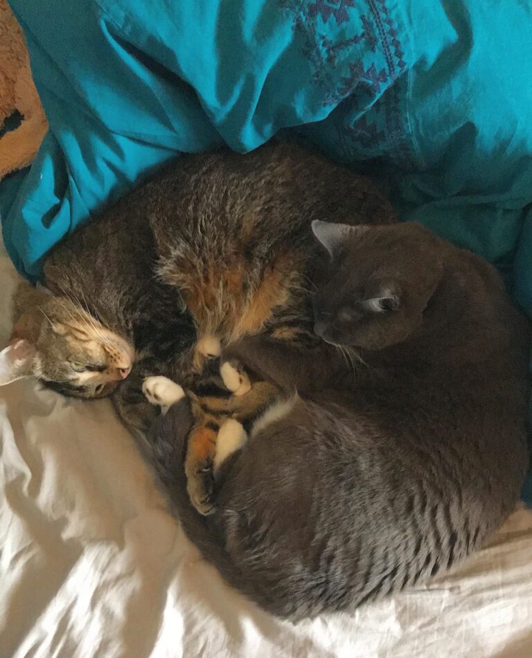 Love them except when they nip my fingers to wake me up and feed them
