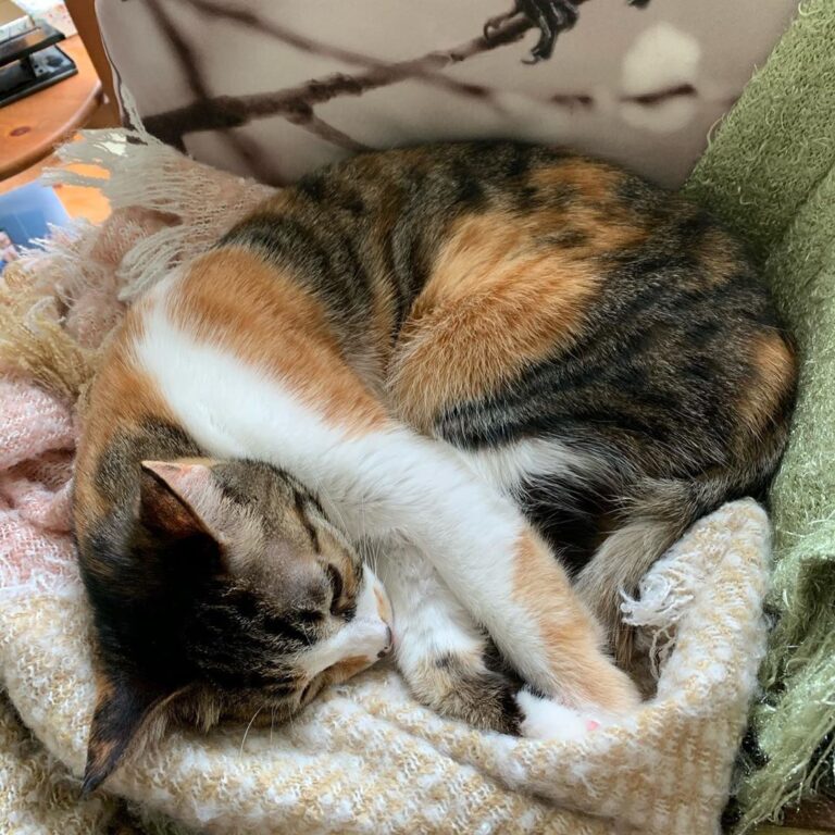 Luna here: Momma said I was very brave this morning cause I came out