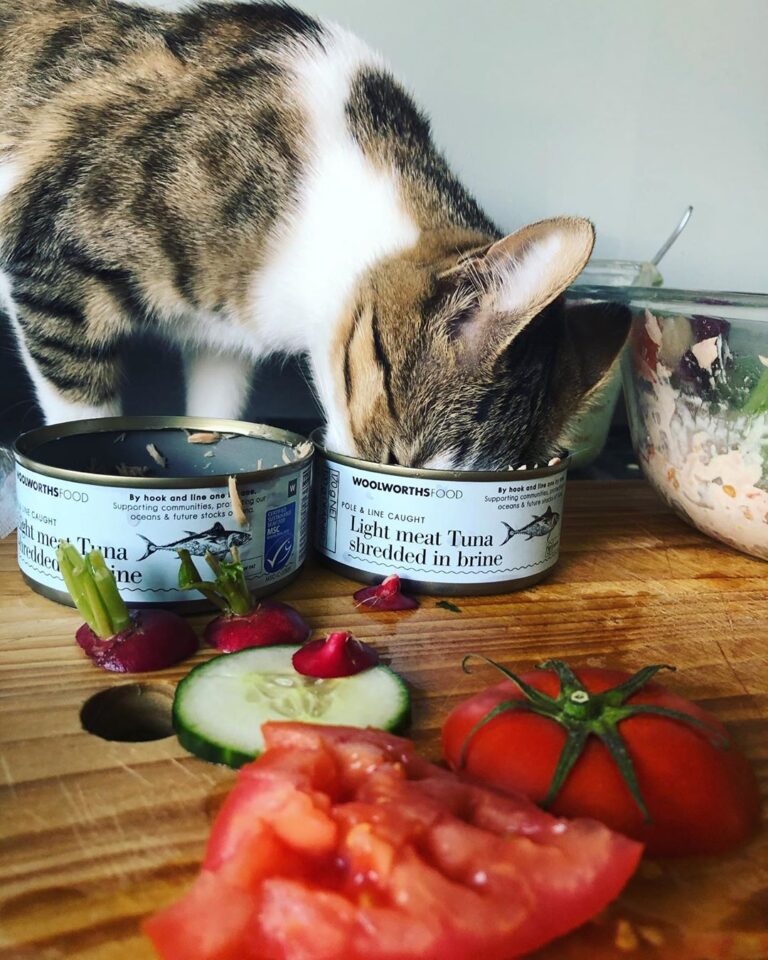 Lunch is ready! • • •