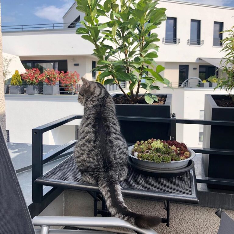 Mein Lieblingsplatz… um alles im Blick zu haben