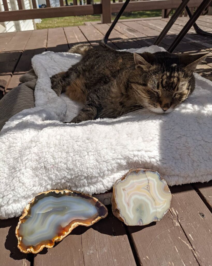 Naps, snacks, and agates 20 years young . . .