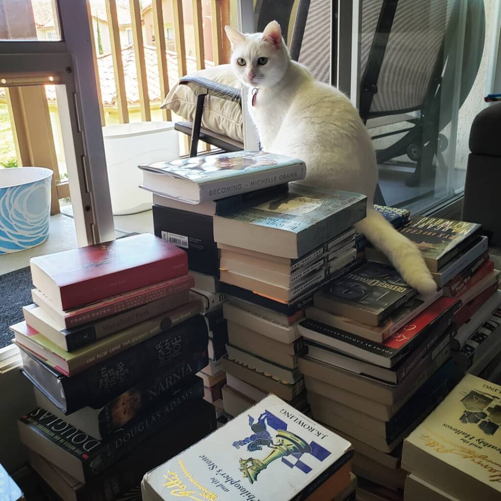 Reorganizing my bookshelves today with Sammy’s help What are your