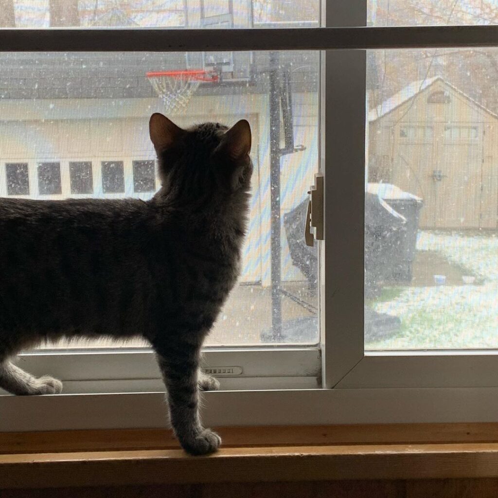 Rylee says it was snowing yesterday… to me it looked like the sky