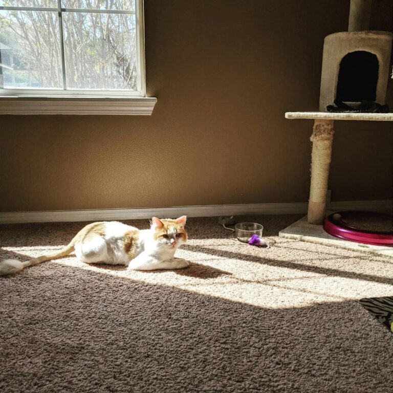 Saturday sunshine vibes . . . . . .
