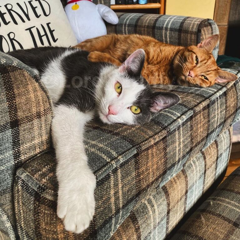 Saturday vibes . . .