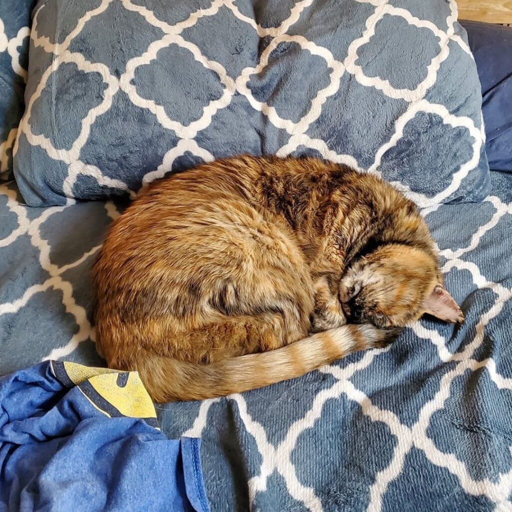 Sleeping is one of the best things about life.