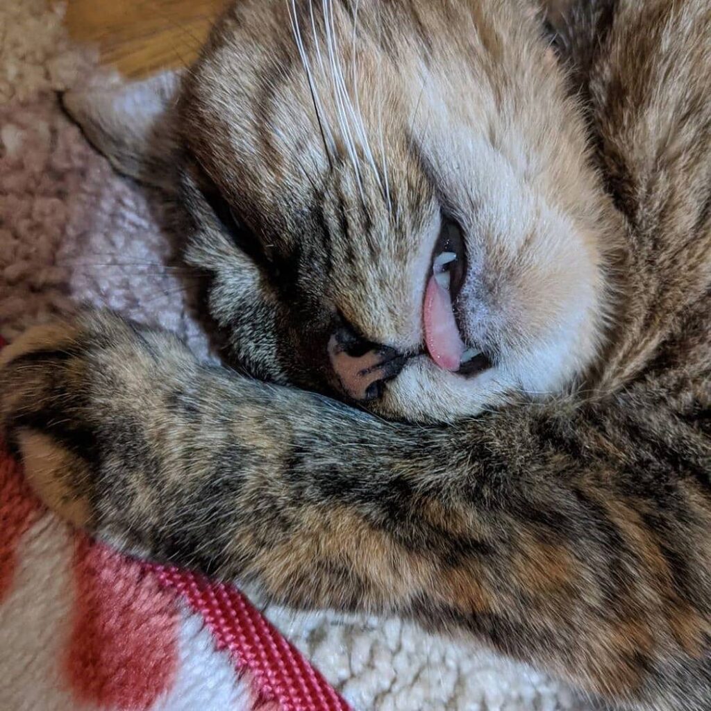 Sleepy time Featuring DM us to get featured