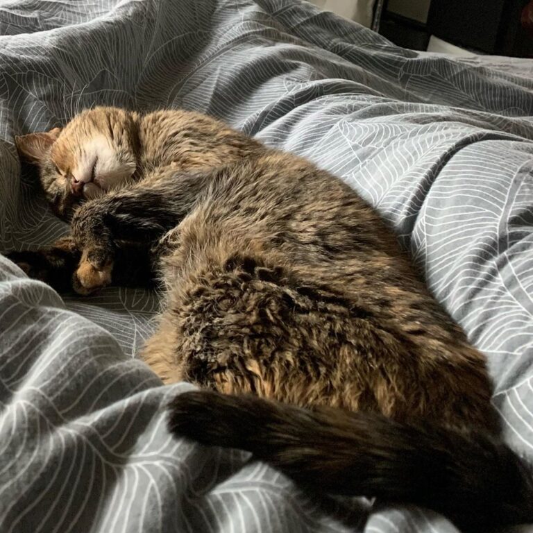 The view when I woke up today.