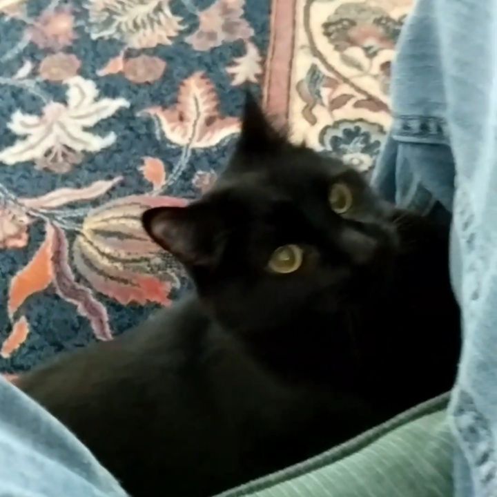 This little bugger was in a playful mood.