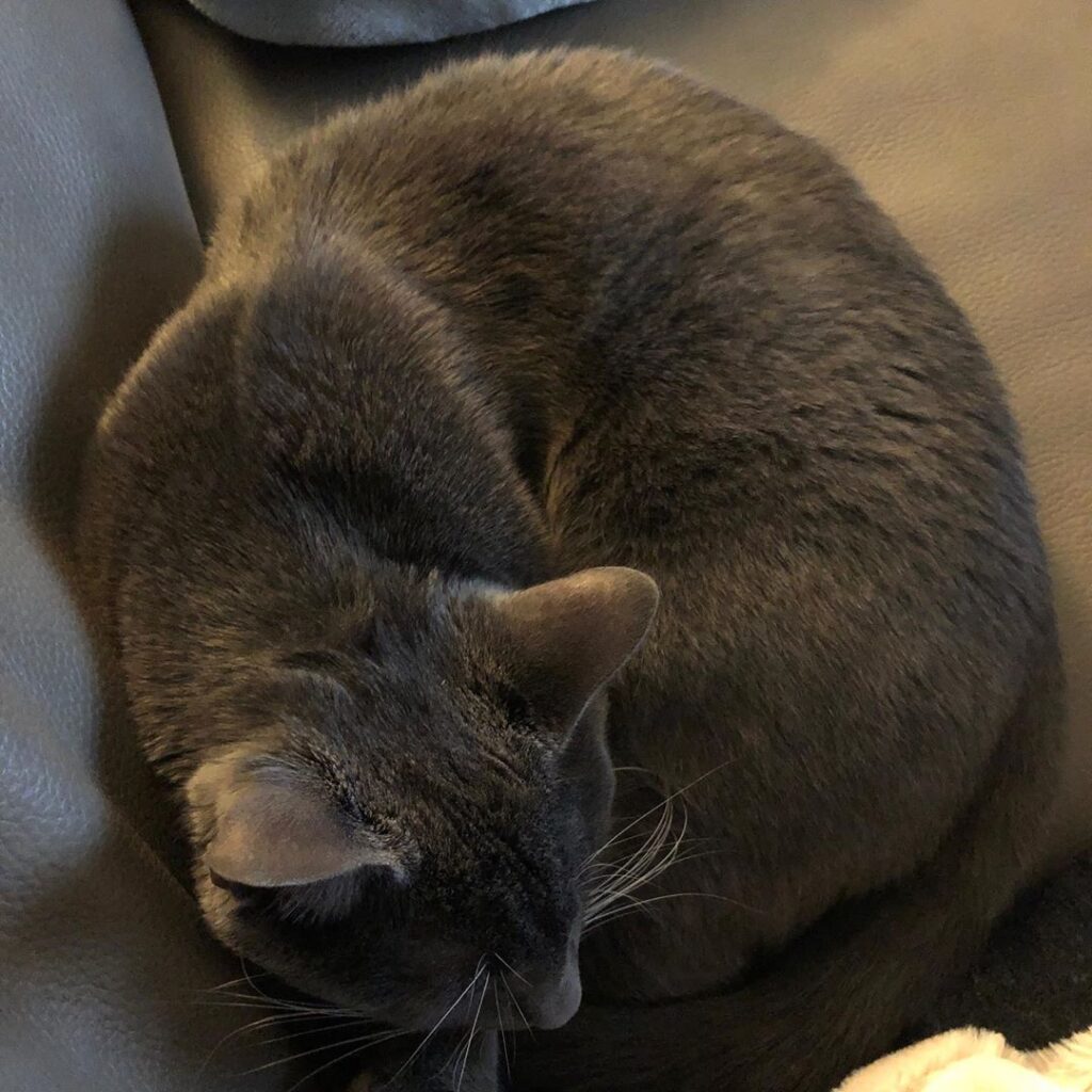 Trying to take a little nap