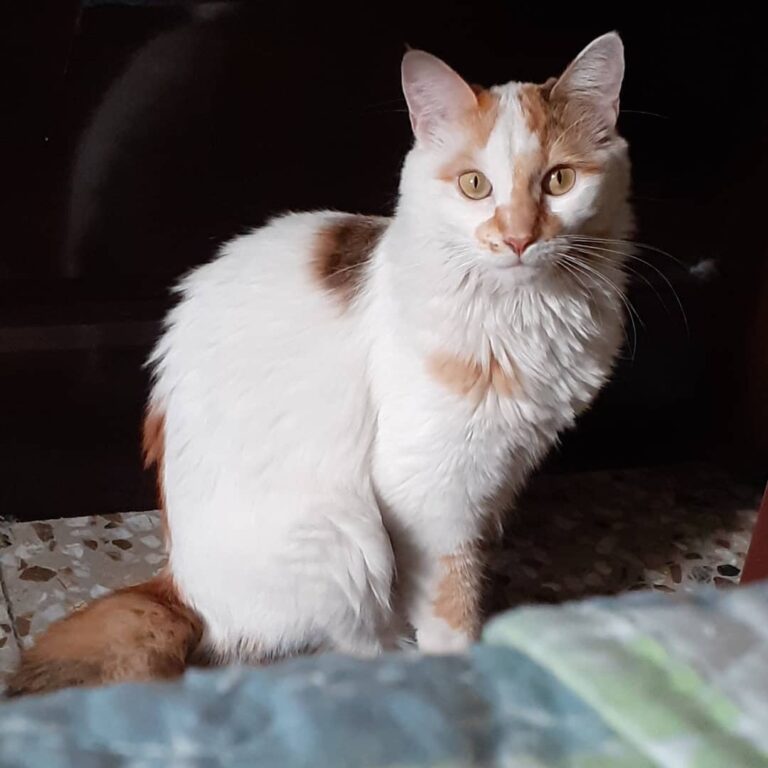 Valentina’s headshots So beautiful she loves having her picture taken