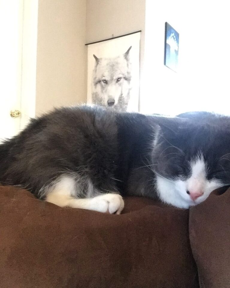 Wake me up when I can go outside again . .