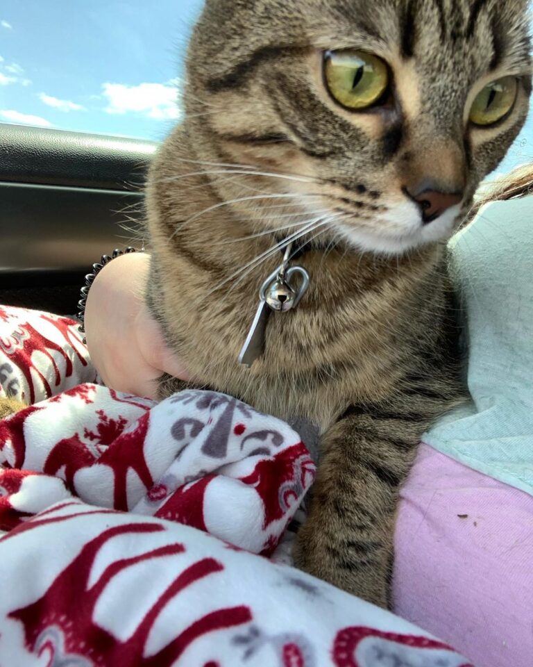 We are going on a trip to see my grandpawrents