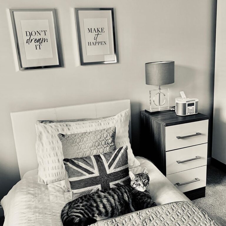 When you really hope the cat won’t take a liking to the new white