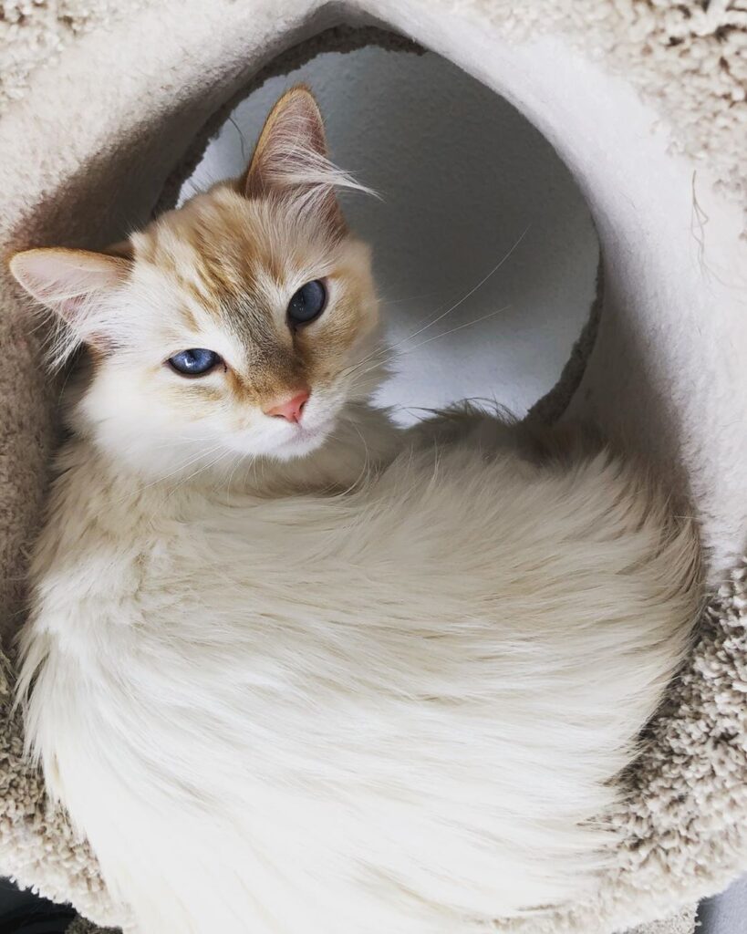Why have you disturbed me?