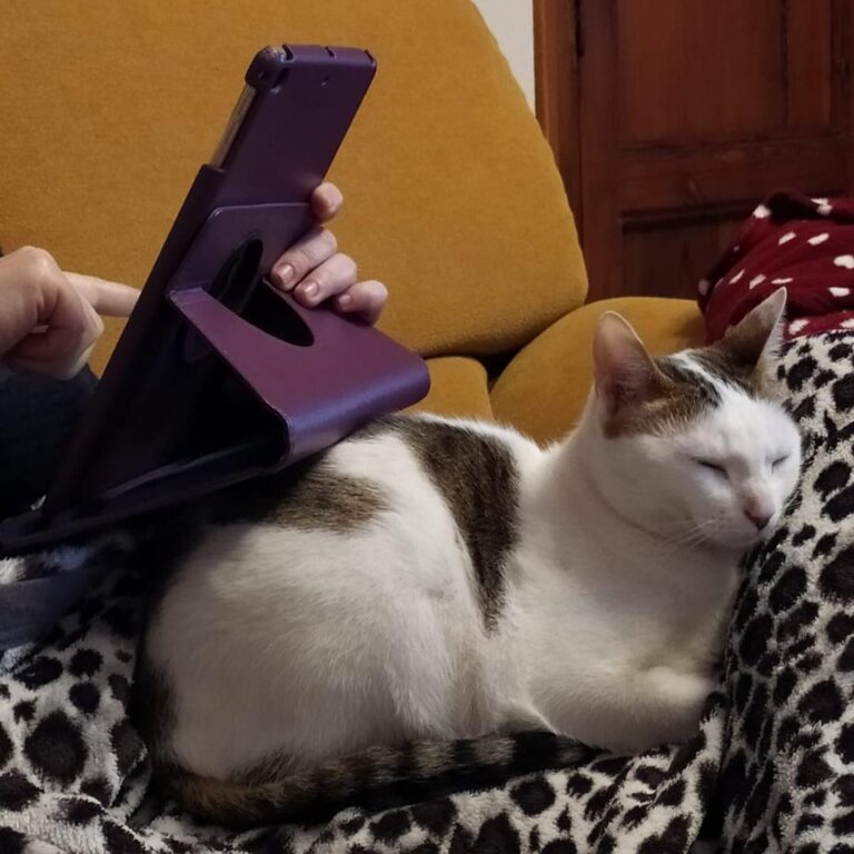 Working time?