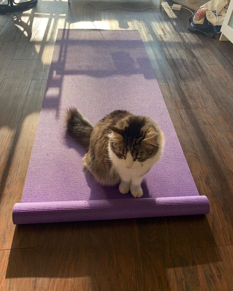 Yoga, anyone? Happy . . .