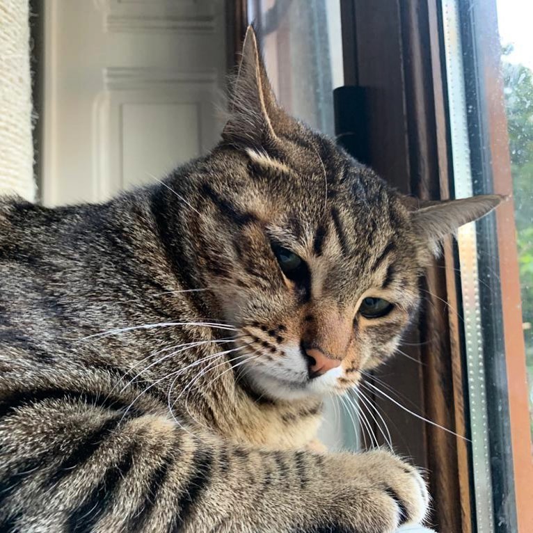 You’ve been around my home a lot lately. Sup? ⁣