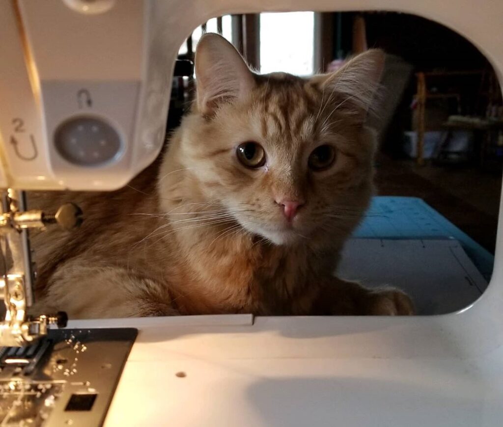 Has a sewing helper now.