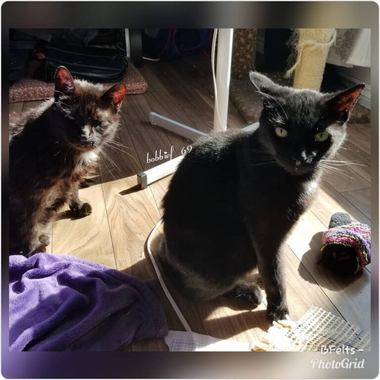 My 2 buddies Squishy on the left and Earl on the right enjoying the