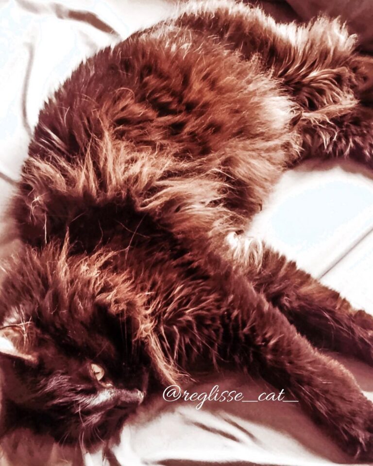 • [ Have a nice week end. ] / [ Ayez une bonne fin de semaine. ]