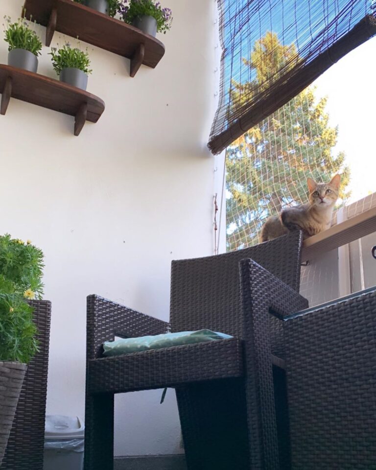 ⁣ Ganze drei (!) Quadratmeter fasst Unsere kleine-große