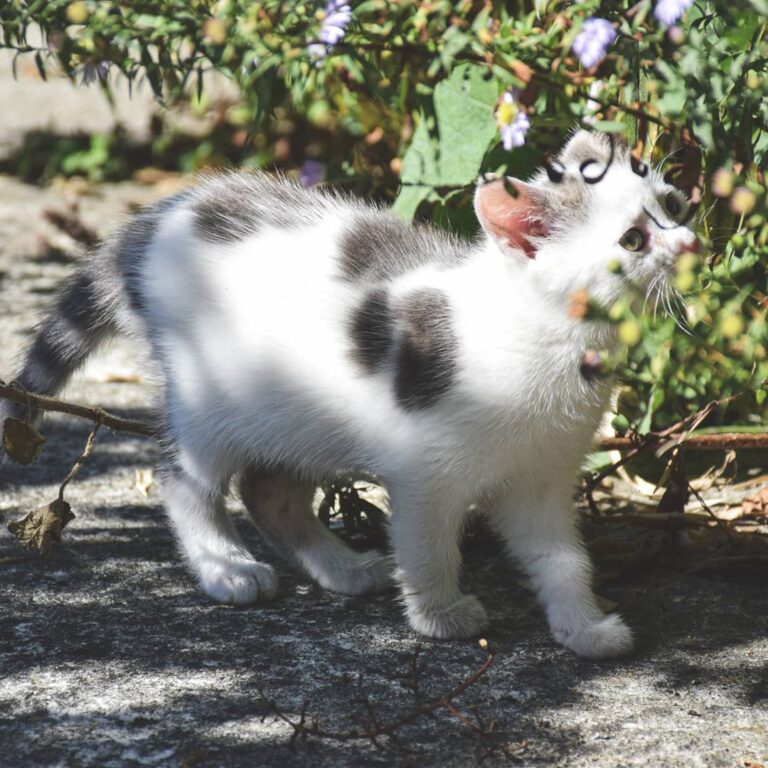 Baby me smelling unknown flowers . . . . .