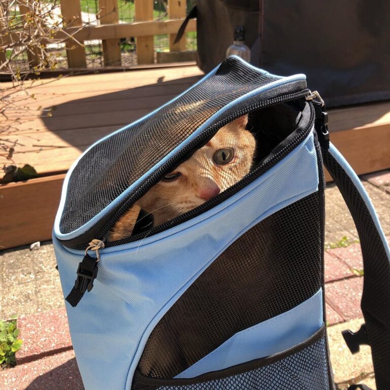 Doing yard work with Maeby
