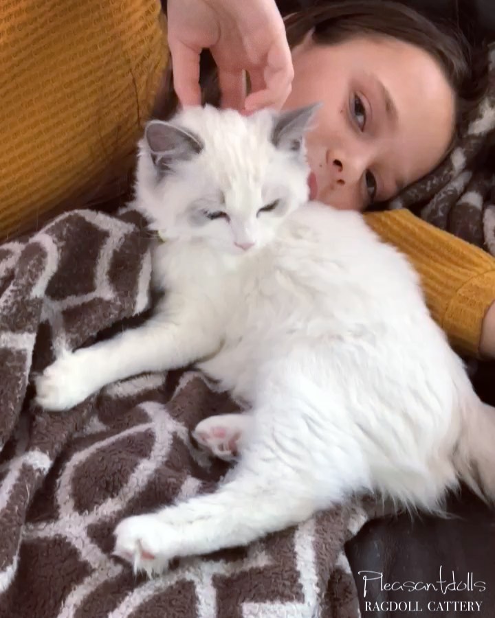 ‘Gem is very not tired’ but oh so very cute along with one of her