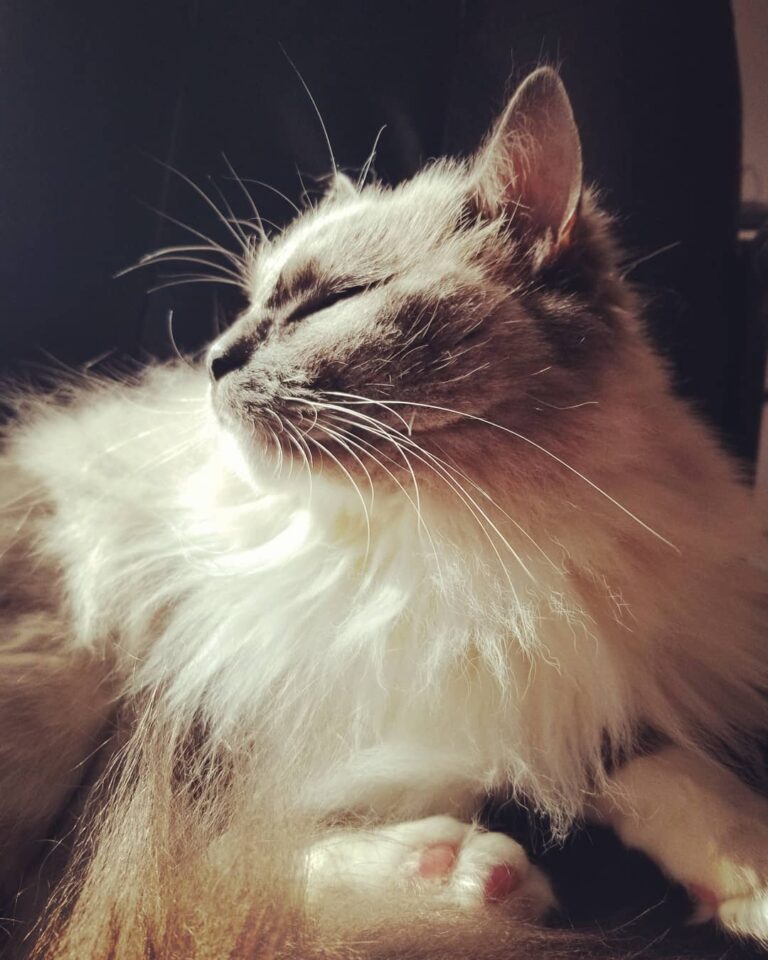 He melts my heart