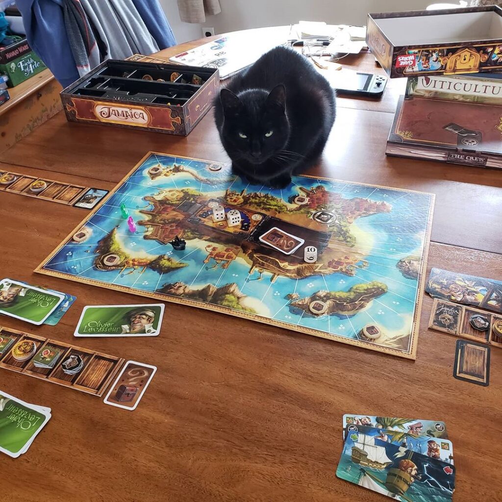 I found someone to play Jamaica with me!