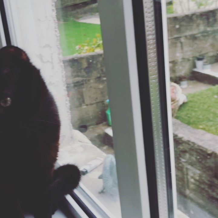 I’ll talk to the birds if I want to