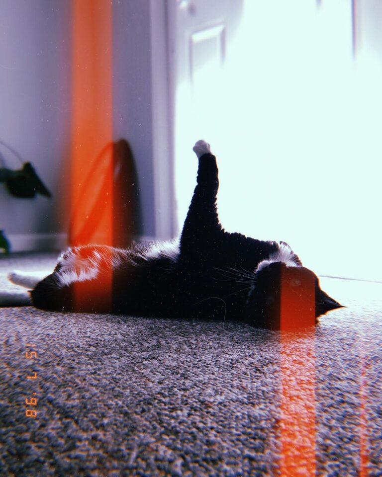It’s one of those lazy days. We now have more tarot reading options