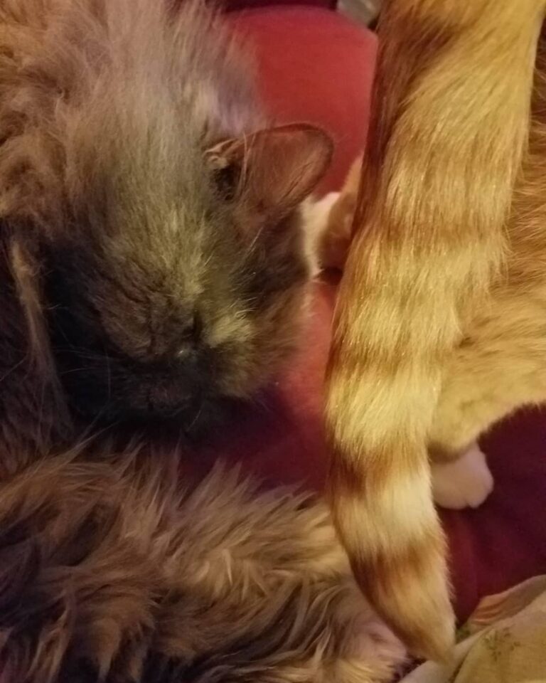 Jerkury has nooo concept of personal space!