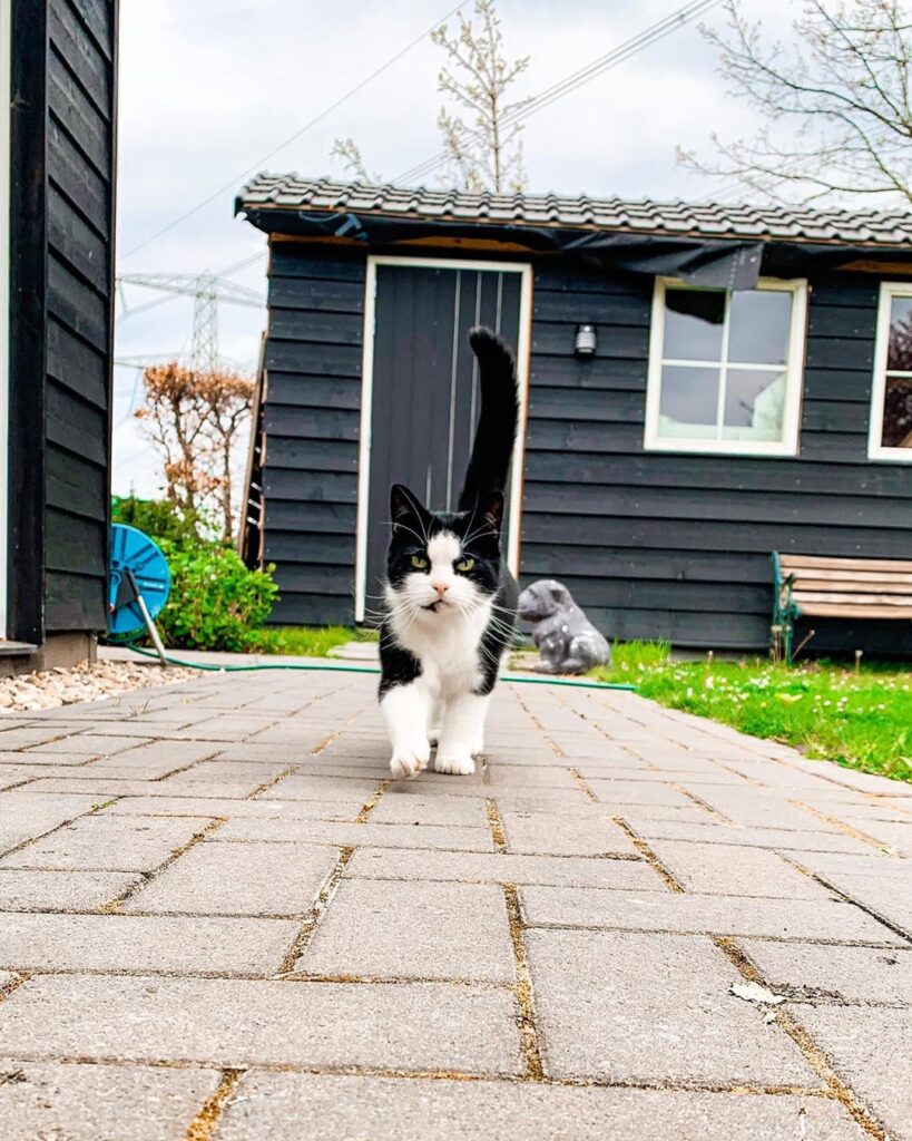 Just came back from my daily walk