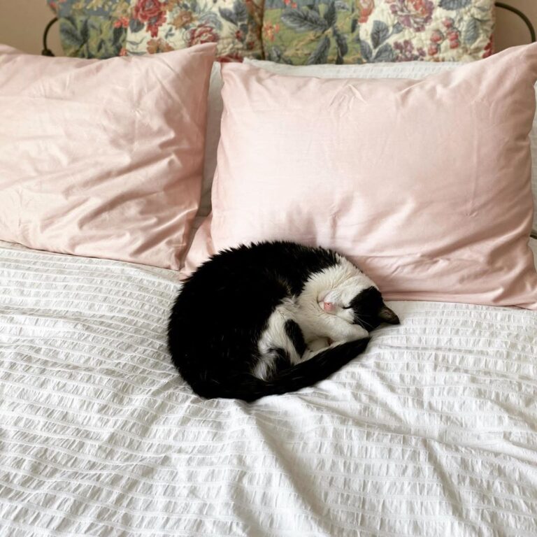 Just in case you were wondering — Chancellor loves her new room at