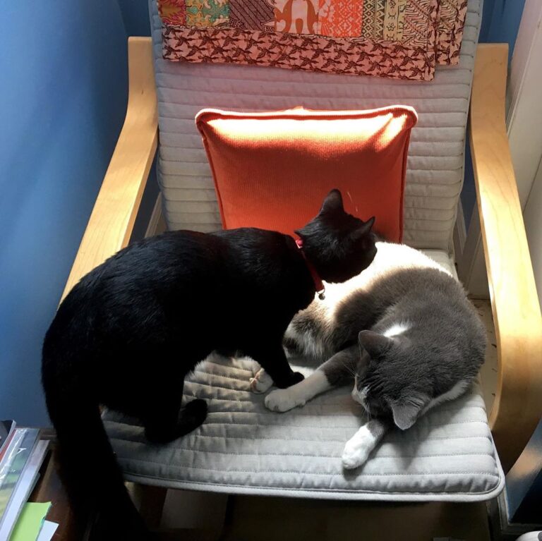 Means competition for prime napping spots. Flash didn’t want to