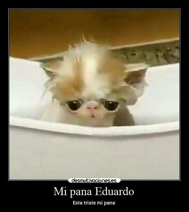 Mi pana el pete . . . . . . . . ñol