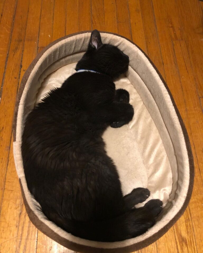 New bed alert Disclaimer: Next week I will give an update on my