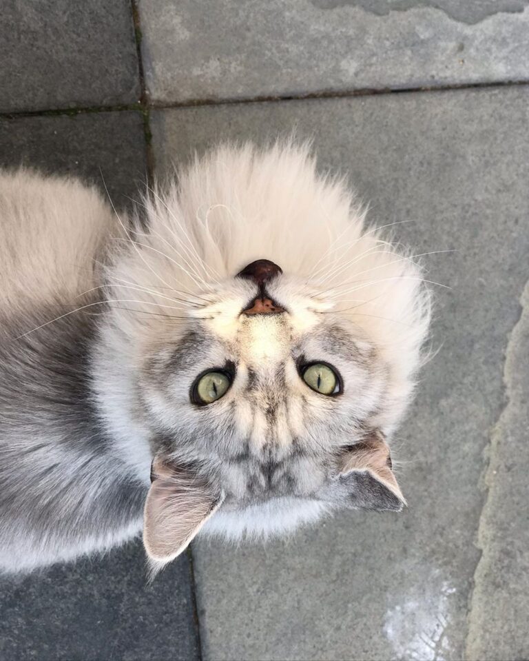 Oh hi there Bincky! I miss you brother • • • • • • • • •