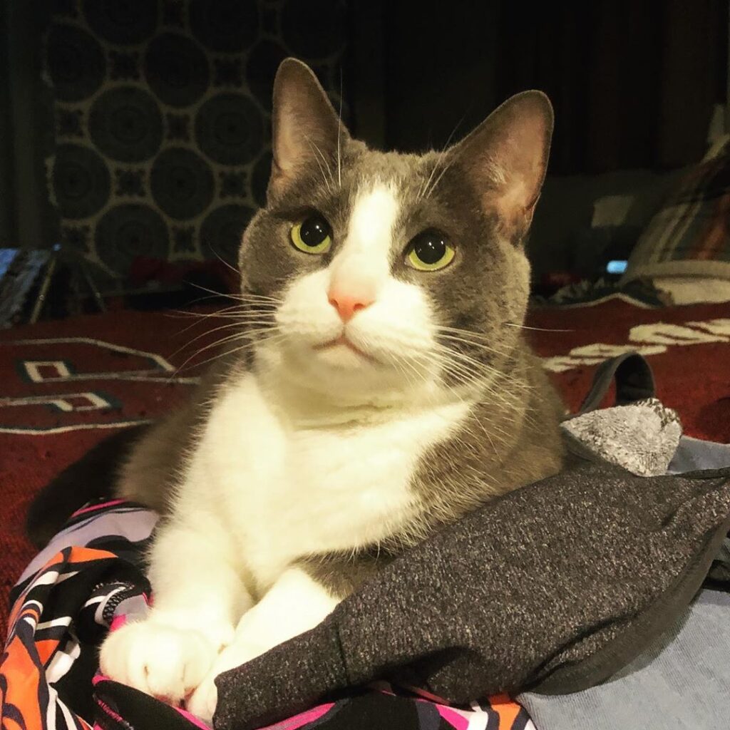 Oh, were you planning on wearing these? They sure make a comfy bed.