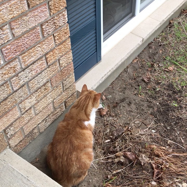 Parker is enjoying the outdoors today. With parental supervision of